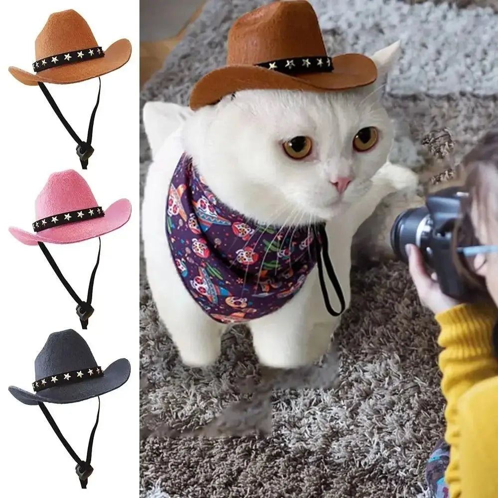 🤠 Chapeau de Cowboy pour Animaux 🐶🐱