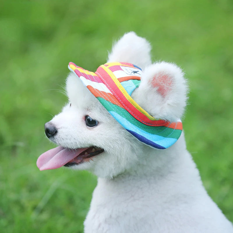 🧢 Chapeau pour Chiens 🐶