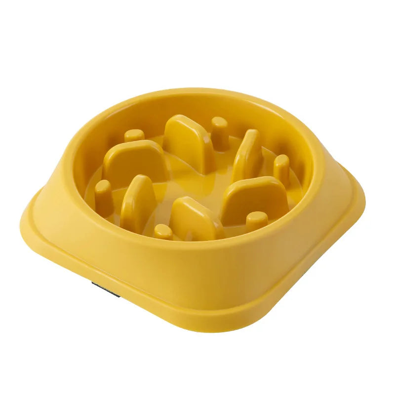 🐾 Gamelle Anti-Glouton pour Chiens 🐶