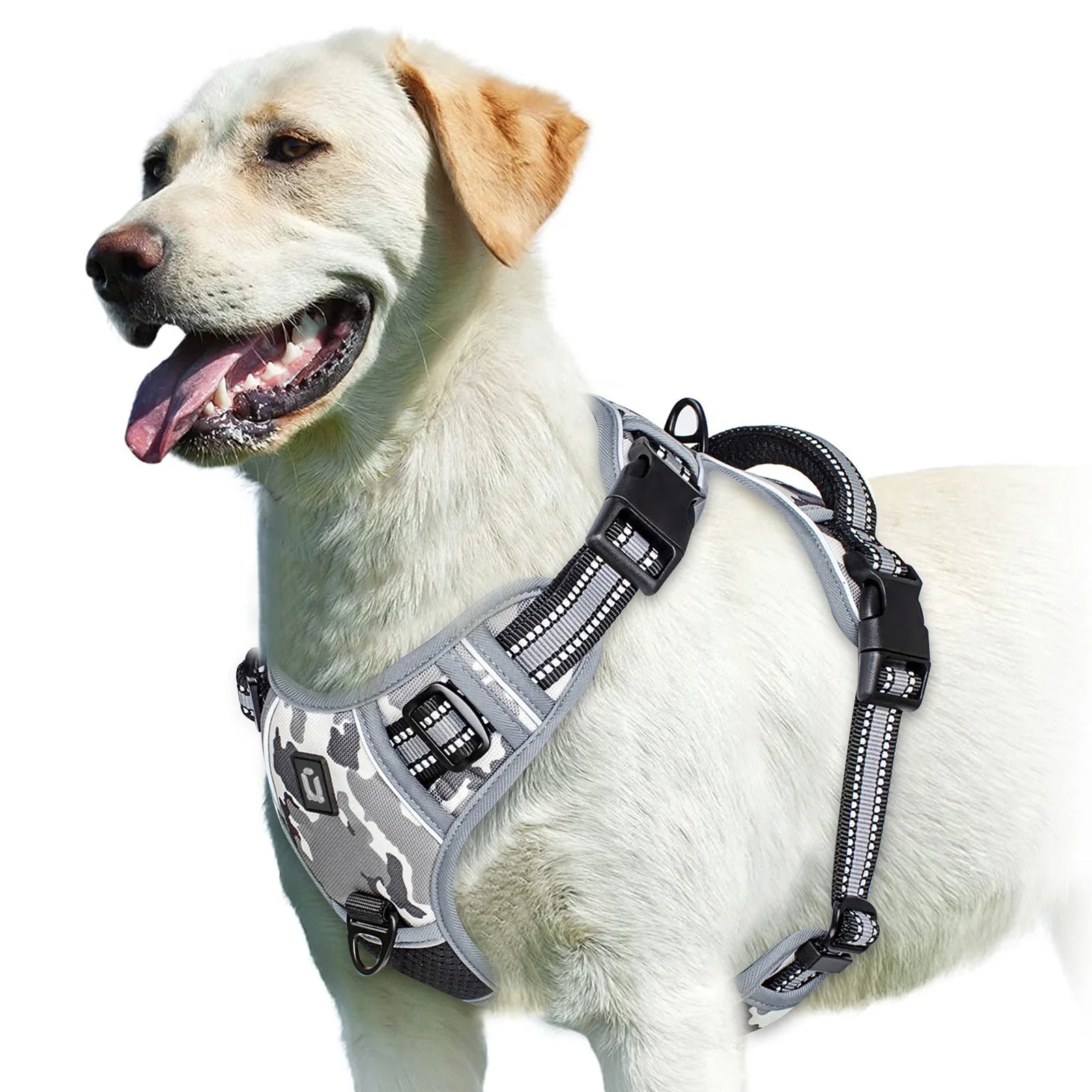 Harnais pour Chien – Sécurité et Confort 🐾