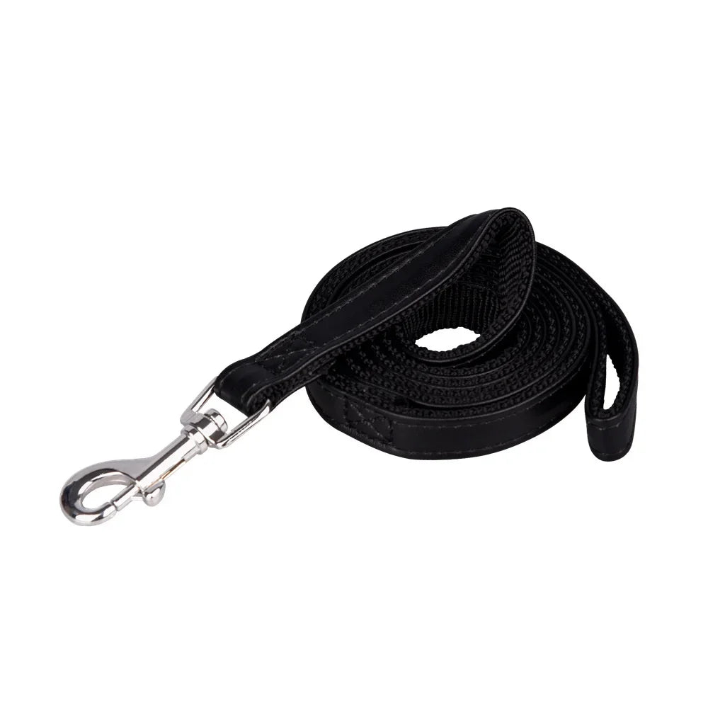 🦮 Laisse Classique pour Chiens