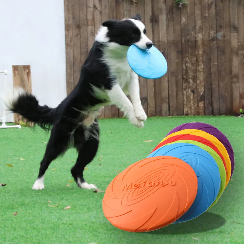 🥏 Frisbee pour Chiens 🐶💨