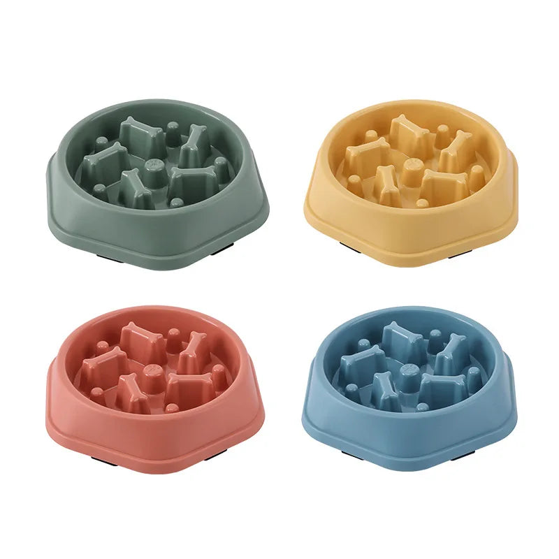 🐾 Gamelle Anti-Glouton pour Chiens 🐶