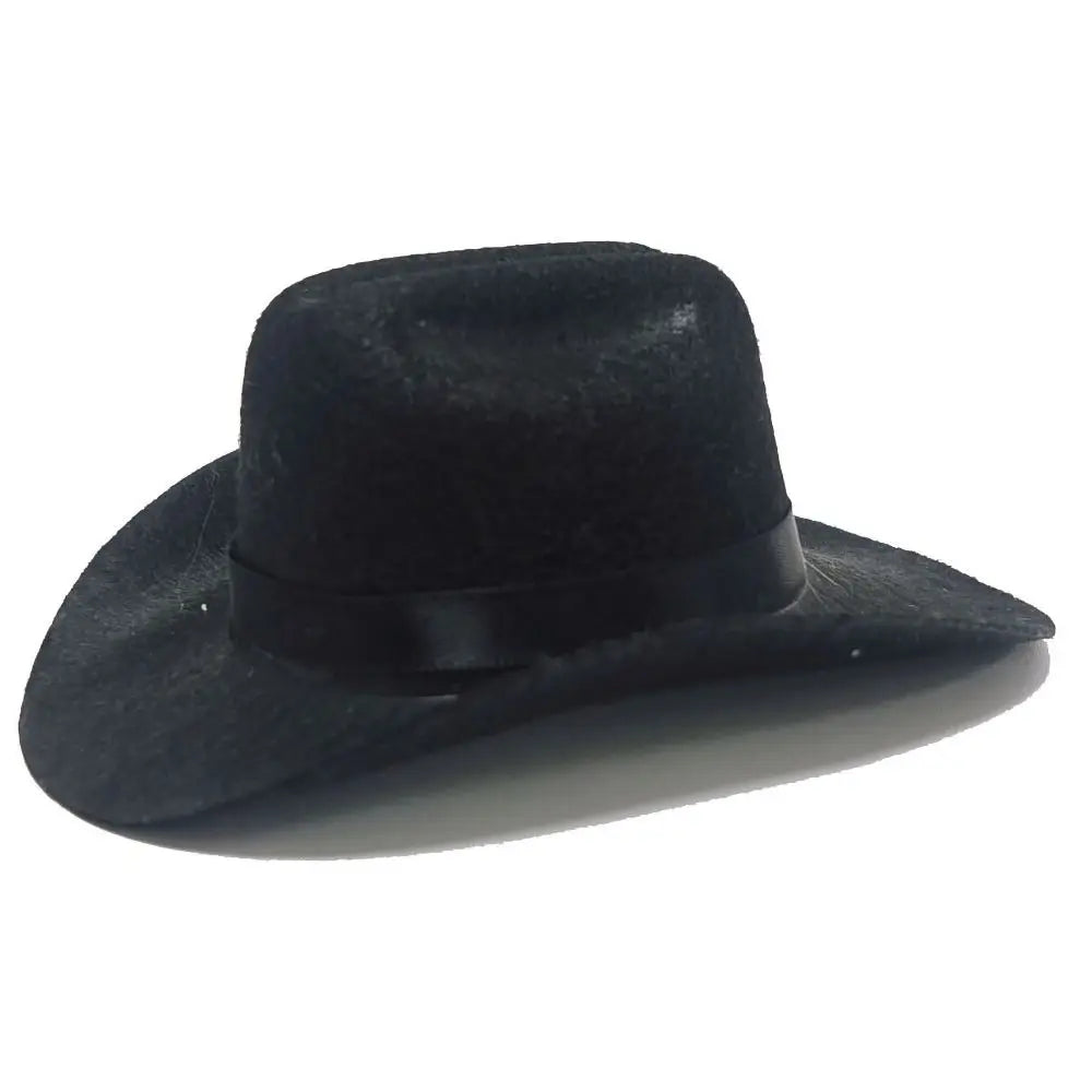 🤠 Chapeau de Cowboy pour Animaux 🐶🐱